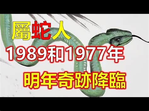 1989年属蛇|1989属蛇的五行 1989年属蛇蛇是什么命